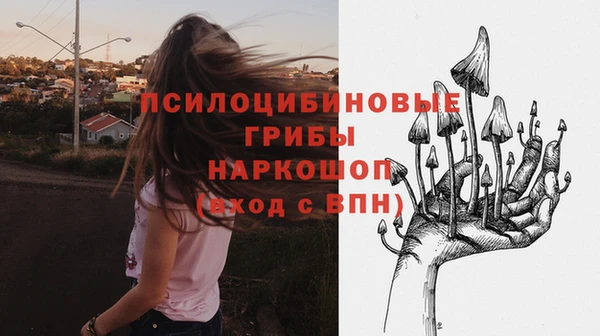 марки lsd Абаза