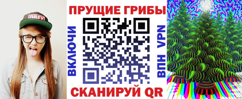 OMG ссылка  Болотное  Псилоцибиновые грибы GOLDEN TEACHER 