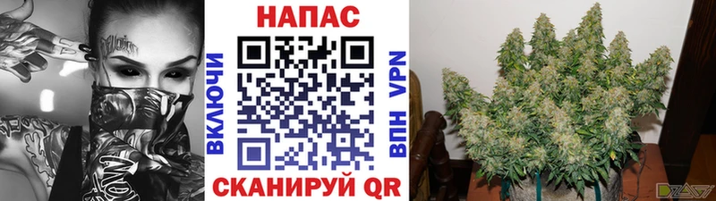 где купить наркоту  Болотное  Шишки марихуана THC 21% 